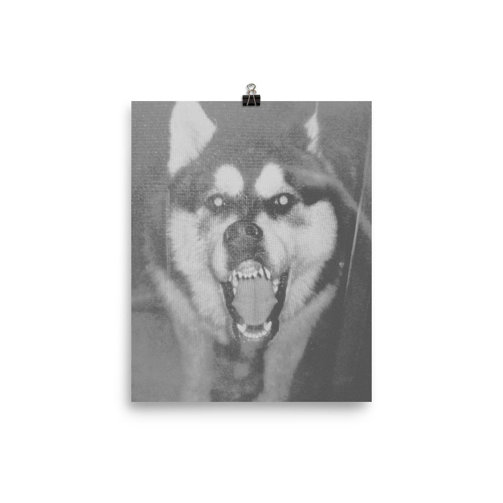 wolf dog poster