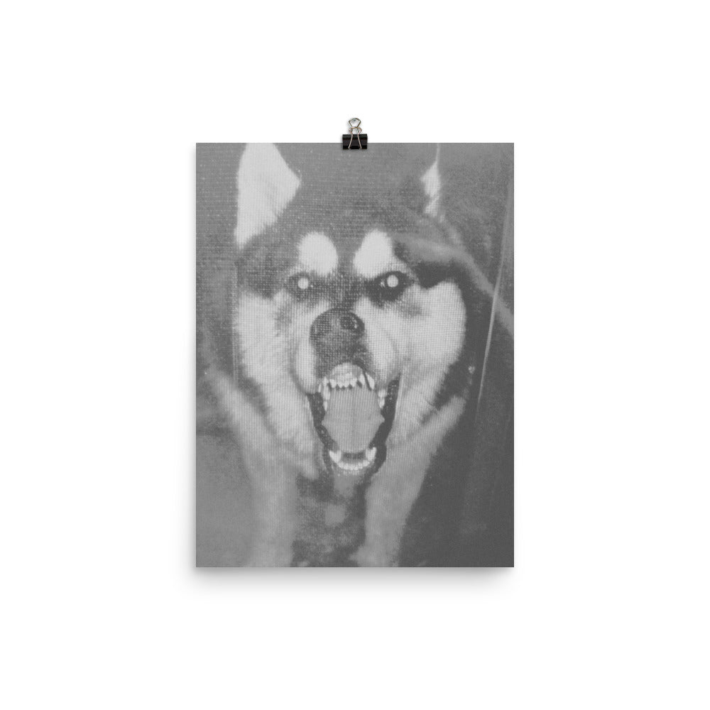 wolf dog poster